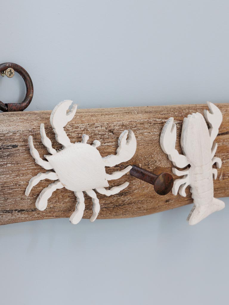 Wall coat rack 3 hooks Crustacean