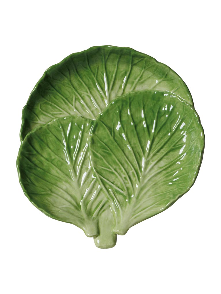 Small plate lettuce
