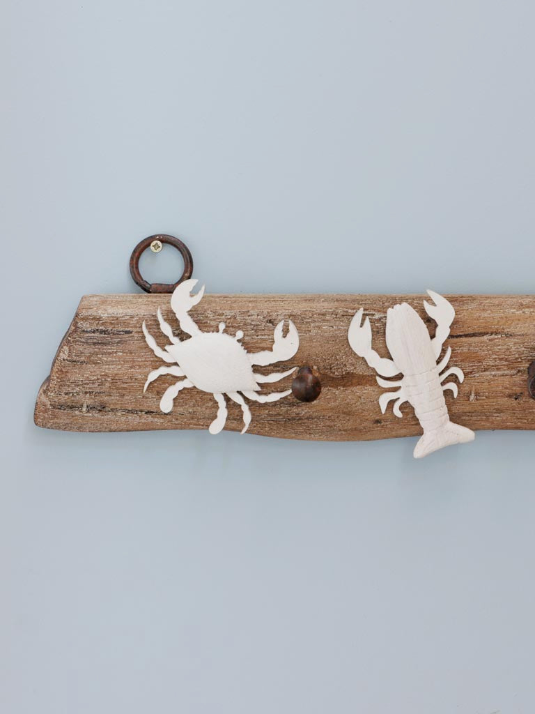 Wall coat rack 3 hooks Crustacean