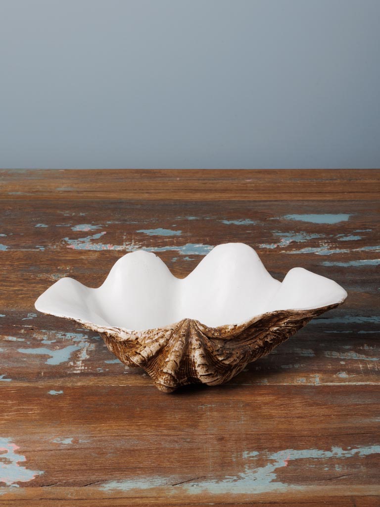Large trinket bowl shell