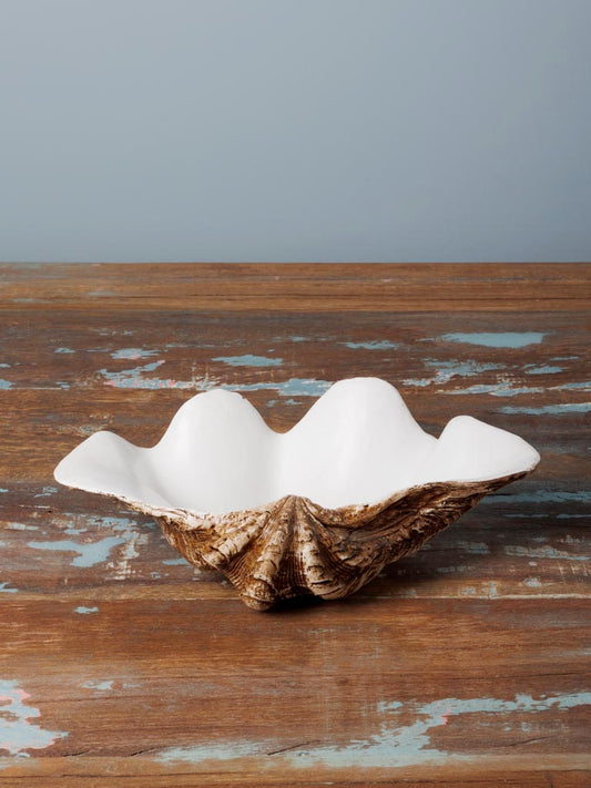 Large trinket bowl shell