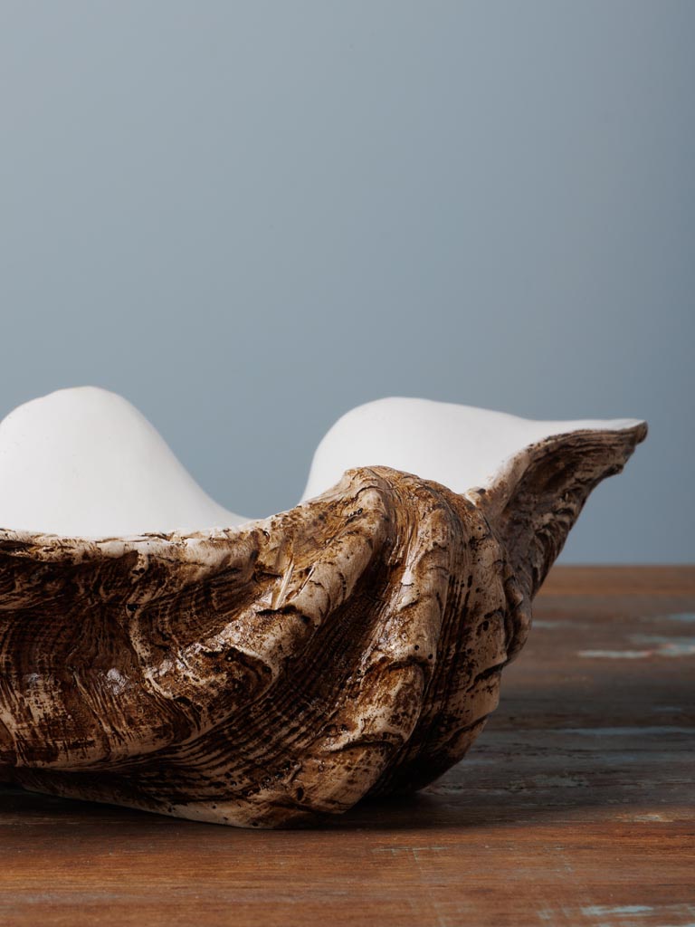 Large trinket bowl shell