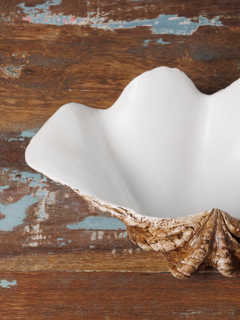 Large trinket bowl shell