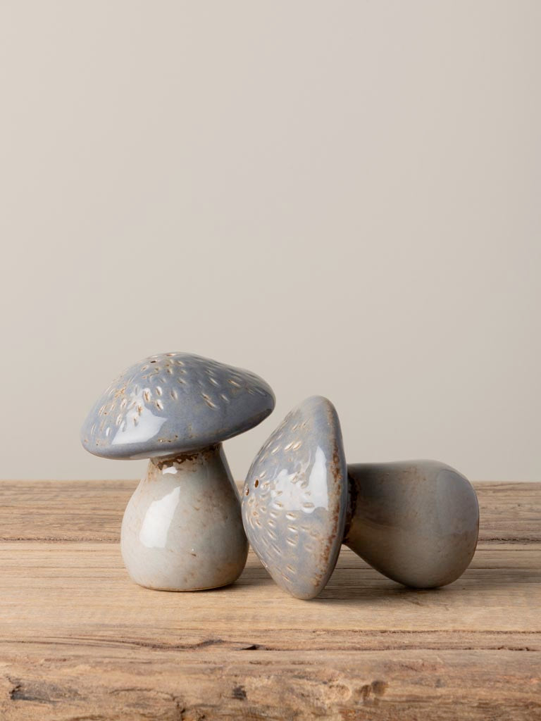 S/2 salt & pepper grey mushrooms